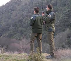 Agentes Forestales